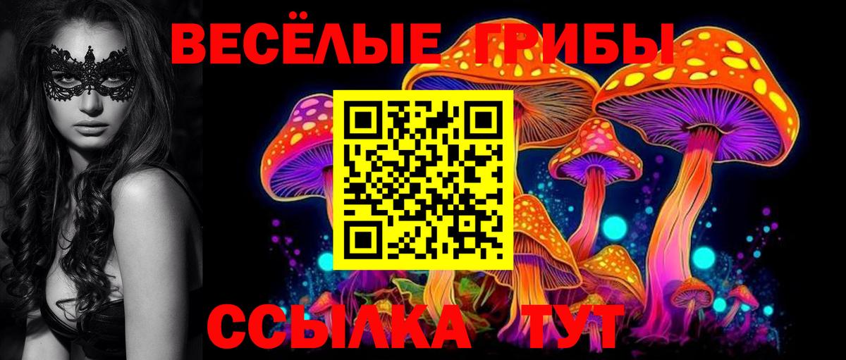 Таганрог  Псилоцибиновые грибы прущие грибы  Вход с VPN 